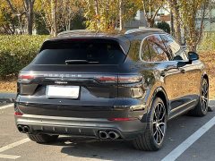 Porsche Cayenne 3.0T Platinum Edition - фото 6