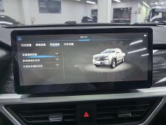 Lexus Poer 2024 Commercial 2.0T Diesel 4WD Automatic Long Wheelbase Luxury Edition - фото 15