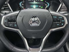 Lexus Poer 2024 Commercial 2.0T Diesel 4WD Automatic Long Wheelbase Luxury Edition - фото 16
