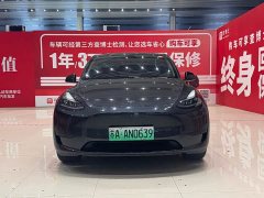 Tesla Model Y rear-wheel drive version - фото 2