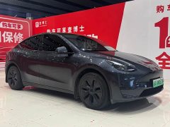 Tesla Model Y rear-wheel drive version - фото 3