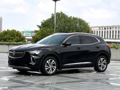 Lexus Envision S 2020 Envision S 652T four-wheel drive luxury - фото 1