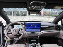 BYD Tangxin Energy DM-i Honor Edition 112KM Flagship - фото 10