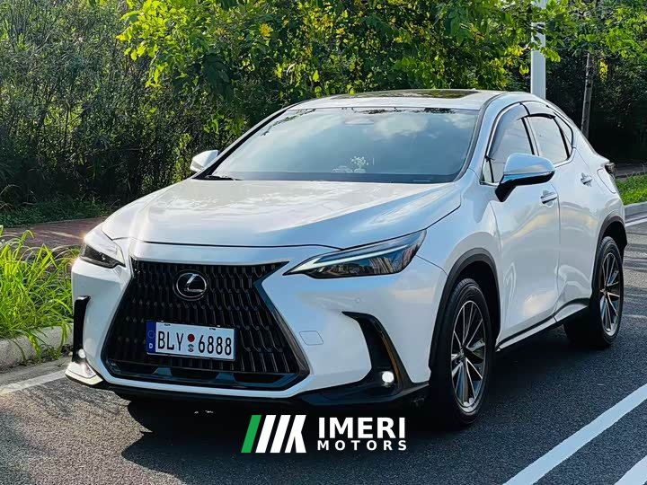 Lexus NX 260 front-wheel drive Chuangyue Edition - автомобиль из Китая