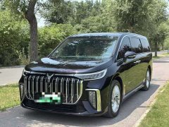 Voyah Lantu Dreamer PHEV Extra Long Range Premium Edition - фото 2