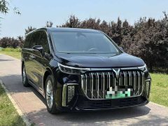 Voyah Lantu Dreamer PHEV Extra Long Range Premium Edition - фото 3