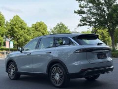 Chery Fulwin T9 2024 120 Long Range Comfort Edition 5-Seater Ternary Lithium - фото 12