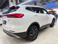 Haval H6 2021 Guochao Edition 1.5T Automatic Urban Edition - фото 4