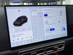 Li Auto Ideal L9 2022 Max - фото 17