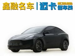 Tesla Model Y long-range all-wheel drive version 3D7 - фото 1