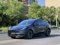 Tesla Model Y long-range all-wheel drive version 3D7 - фото 12