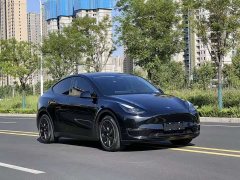 Tesla Model Y long-range all-wheel drive version 3D7 - фото 16