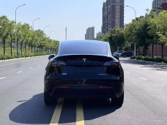 Tesla Model Y long-range all-wheel drive version 3D7 - фото 17