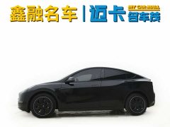 Tesla Model Y long-range all-wheel drive version 3D7 - фото 2