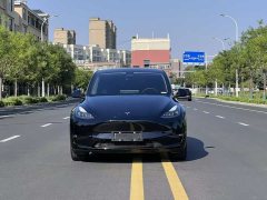 Tesla Model Y long-range all-wheel drive version 3D7 - фото 20