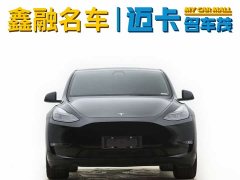 Tesla Model Y long-range all-wheel drive version 3D7 - фото 3