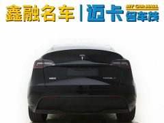 Tesla Model Y long-range all-wheel drive version 3D7 - фото 7