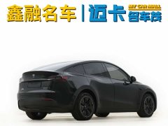 Tesla Model Y long-range all-wheel drive version 3D7 - фото 9