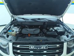 Havaldog 2021 2.0T DCT two-wheel drive Chinese hound version - фото 10