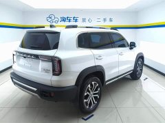 Havaldog 2021 2.0T DCT two-wheel drive Chinese hound version - фото 3