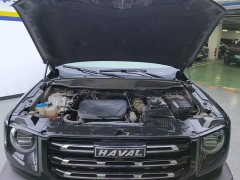 Haval Big Dog 2022 1.5T DCT two-wheel drive Border Collie version - фото 10