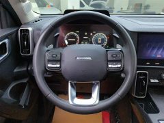 Haval Big Dog 2022 1.5T DCT two-wheel drive Border Collie version - фото 15