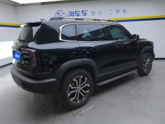 Haval Big Dog 2022 1.5T DCT two-wheel drive Border Collie version - фото 3