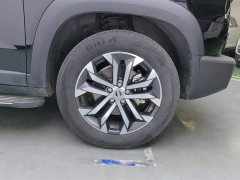 Haval Big Dog 2022 1.5T DCT two-wheel drive Border Collie version - фото 6