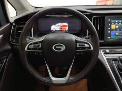GAC Trumpchi M8 Master Series 390T Premium Edition - фото 15