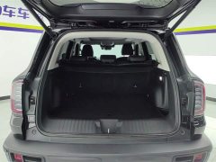 Haval Big Dog 2021 1.5T DCT two-wheel drive Border Collie version - фото 4