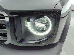 Haval Big Dog 2021 1.5T DCT two-wheel drive Border Collie version - фото 5