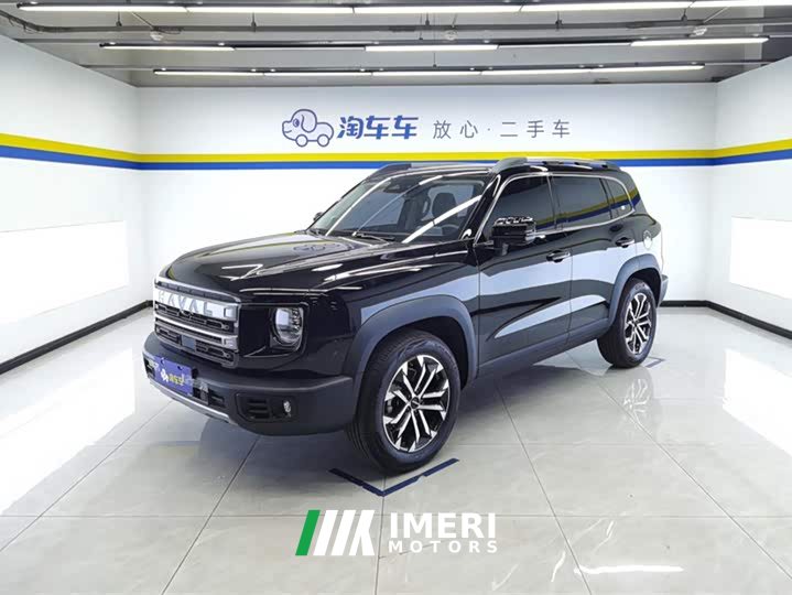 Haval Big Dog 2024 1.5T DCT Border Collie Edition