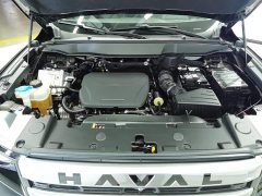 Haval Big Dog 2024 1.5T DCT Border Collie Edition - фото 10