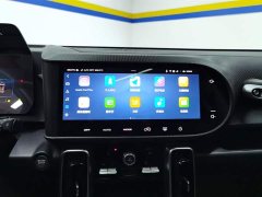 Haval Big Dog 2024 1.5T DCT Border Collie Edition - фото 13