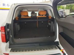 Tank 500 3.0T Business Edition Landscape Type 5 Seats - фото 4