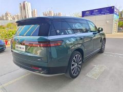 Denza N9 flagship - фото 4