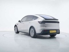 Tesla Model Y L long-range all-wheel drive version - фото 2