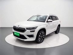 BMW Kodiak facelift TSI330 7-seat two-wheel drive luxury version - фото 1