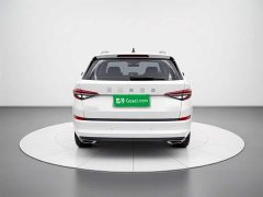 BMW Kodiak facelift TSI330 7-seat two-wheel drive luxury version - фото 3