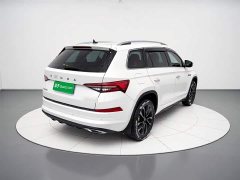 BMW Kodiak facelift TSI330 7-seat two-wheel drive luxury version - фото 4