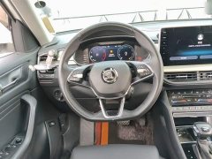 BMW Kodiak facelift TSI330 7-seat two-wheel drive luxury version - фото 6