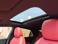 Trumpchi Shadow Leopard 2022 270T DCT J16 R-style track version - фото 9