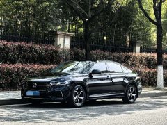 Volkswagen Passat 2024 380TSI Starry Sky Elite Edition - фото 1