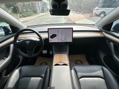 Tesla Model Y long-range all-wheel drive version - фото 20