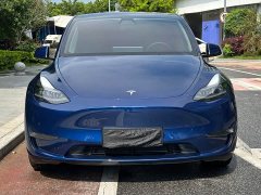Tesla Model Y long-range all-wheel drive version - фото 3
