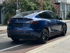 Tesla Model Y long-range all-wheel drive version - фото 8