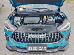 Haval Red Rabbit Engine Edition 1.5T Golden Rabbit - фото 19