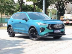 Haval Red Rabbit Engine Edition 1.5T Golden Rabbit - фото 3