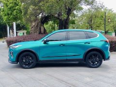 Haval Red Rabbit Engine Edition 1.5T Golden Rabbit - фото 4