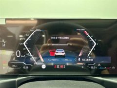BMW 3 Series 330Li M Sports Night Package - фото 14
